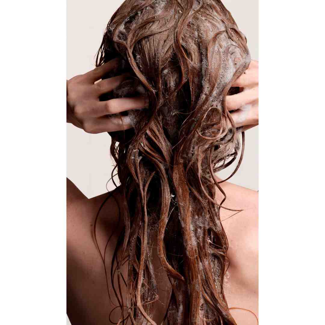 botanical repair shampoo 4 | Charm and Champagne botanical repair shampoo 4| Charm and Champagne