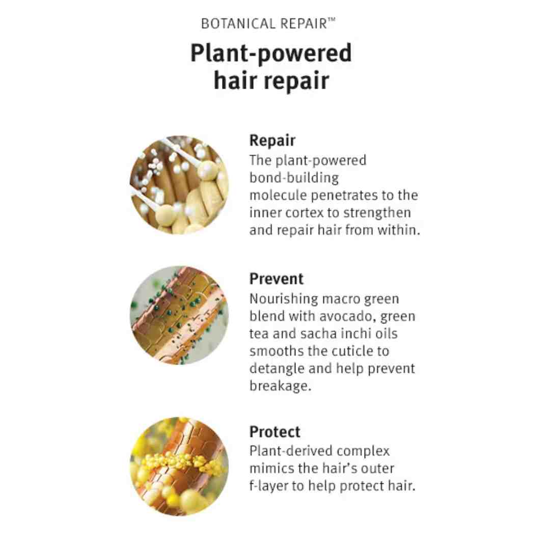 botanical repair | Charm and Champagne botanical repair| Charm and Champagne