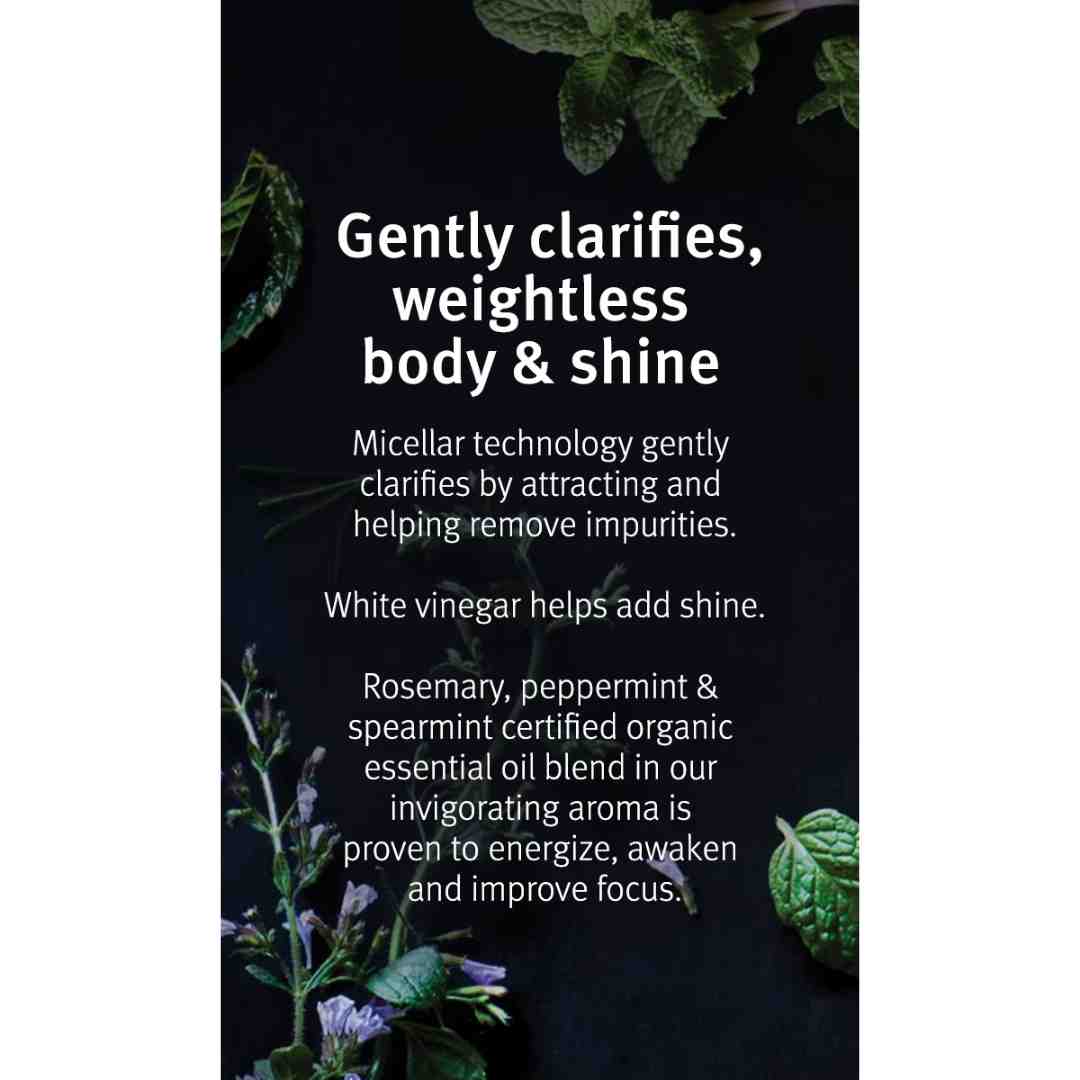 rosemary mint 3 | Charm and Champagne rosemary mint 3| Charm and Champagne
